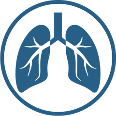 Smoke-Sensitive Households