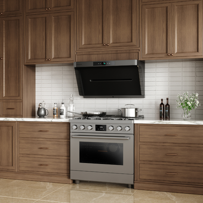 Arspura 36'' P1 IQV Range Hood